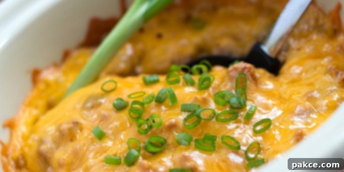 South of the Border Casserole in a white bowl with a serving spoon.