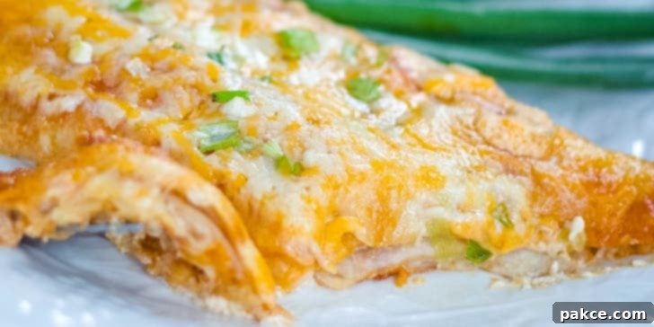 A single cheese and onion enchilada covered with melted Mexican blend cheese and freshly diced green onions, served on a clear plate. Blurred green onions are visible in the background, hinting at the fresh ingredients used.