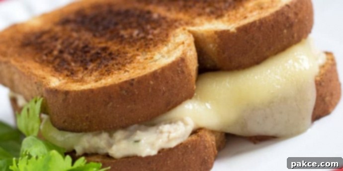 Tuna and a slice of melted swiss cheese on two pieces of toasted bread on a white plate.