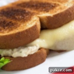 Cheesy Tuna Melts 2 Tuna and a slice of melted swiss cheese on two pieces of toasted bread on a white plate.