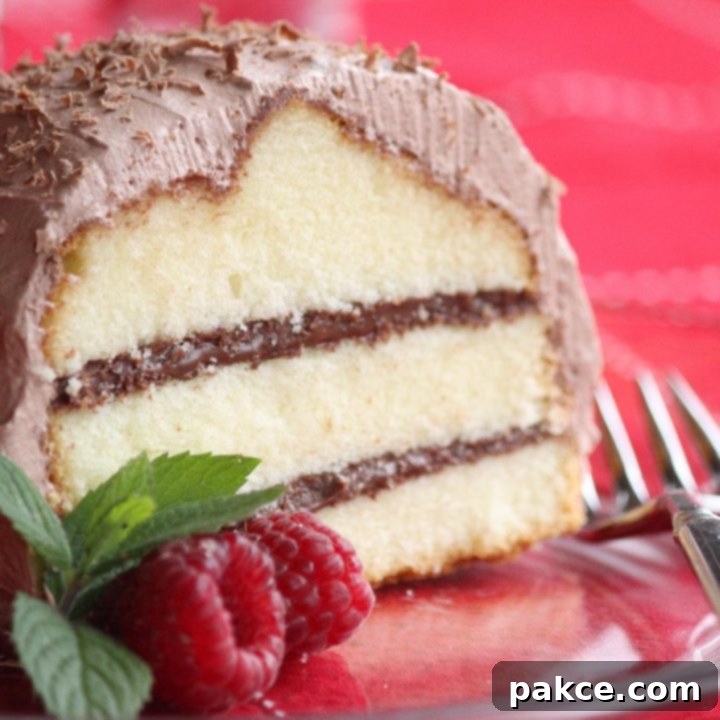pound cake with layers of chocolate hazelnut cream frosted with chocolate cool whip frosting on a plate garnished with raspberries