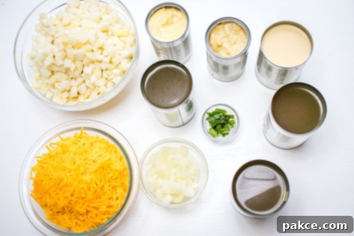 30 Minute Crispy Hash Brown Potato Soup 1 A selection of ingredients for Potato Soup with Hash Browns, including a bag of frozen hash browns, shredded cheddar cheese, cans of cream soups, evaporated milk, chicken broth, a chopped onion, and green onions for garnish.