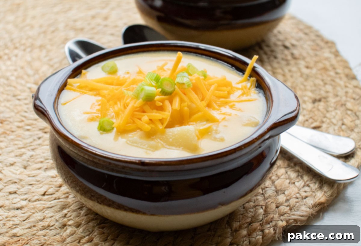 30 Minute Crispy Hash Brown Potato Soup 6 A finished bowl of hash brown potato soup, beautifully garnished with shredded cheddar cheese and sliced green onions, ready to be served.