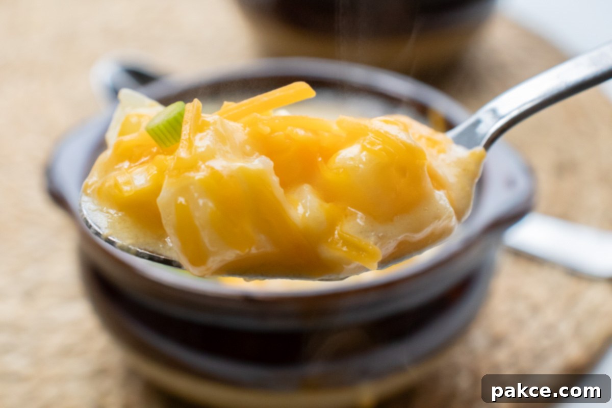 30 Minute Crispy Hash Brown Potato Soup 7 A spoonful of creamy hash brown potato soup, showcasing its rich texture and potato chunks, held in front of a full bowl of the soup.