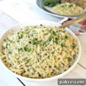 Flavorful Sides 19 Orzo Pasta with Parmesan