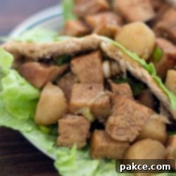 Asian Fusion Chicken Pita Pockets 3 Delicious diced Asian-inspired chicken salad in a lettuce-lined whole wheat pita pocket