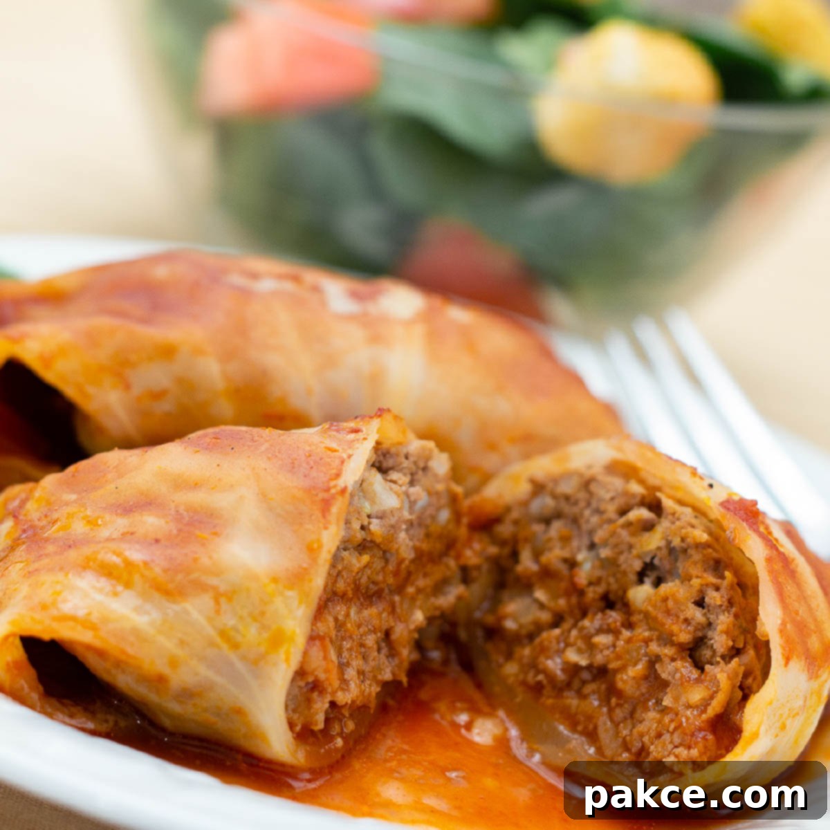 Closeup of cabbage rolls in a tomato sauce on a white plate with a fork. Bowl of salad in the background.