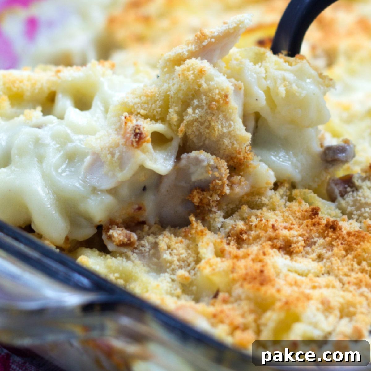 A dish of Savory Chicken and Mushroom Bake