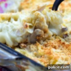 Golden Chicken and Mushroom Delight 3 A dish of Savory Chicken and Mushroom Bake
