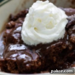 Hot Fudge Cake Homemade Hot Fudge Cake topped with whipped cream