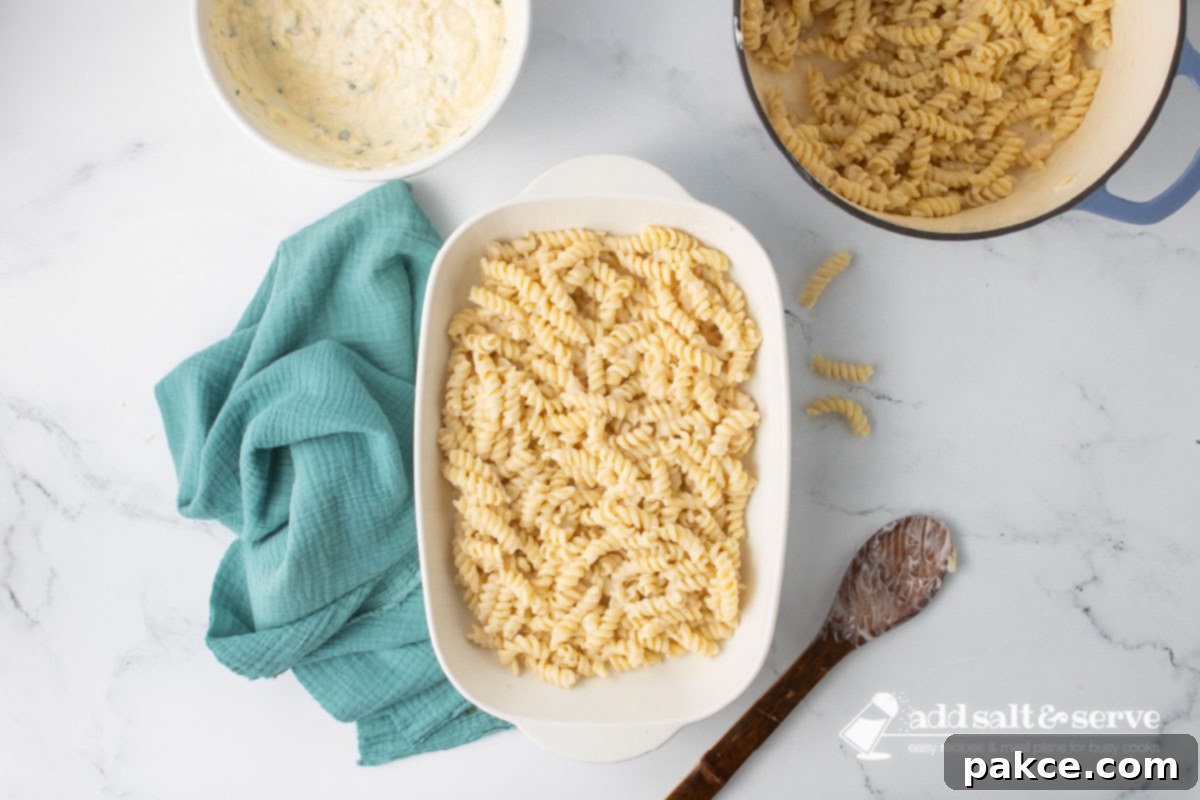 Creamy Alfredo Rotini Bake 7 A white rectangular baking dish with an even layer of rotini pasta coated in Alfredo sauce spread across the bottom, ready for the next layer.
