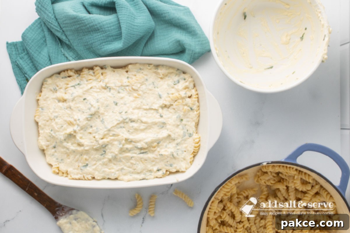 Creamy Alfredo Rotini Bake 8 The white baking dish with the first layer of Alfredo rotini pasta, now topped with the creamy ricotta cheese and egg mixture, spread evenly over the pasta.
