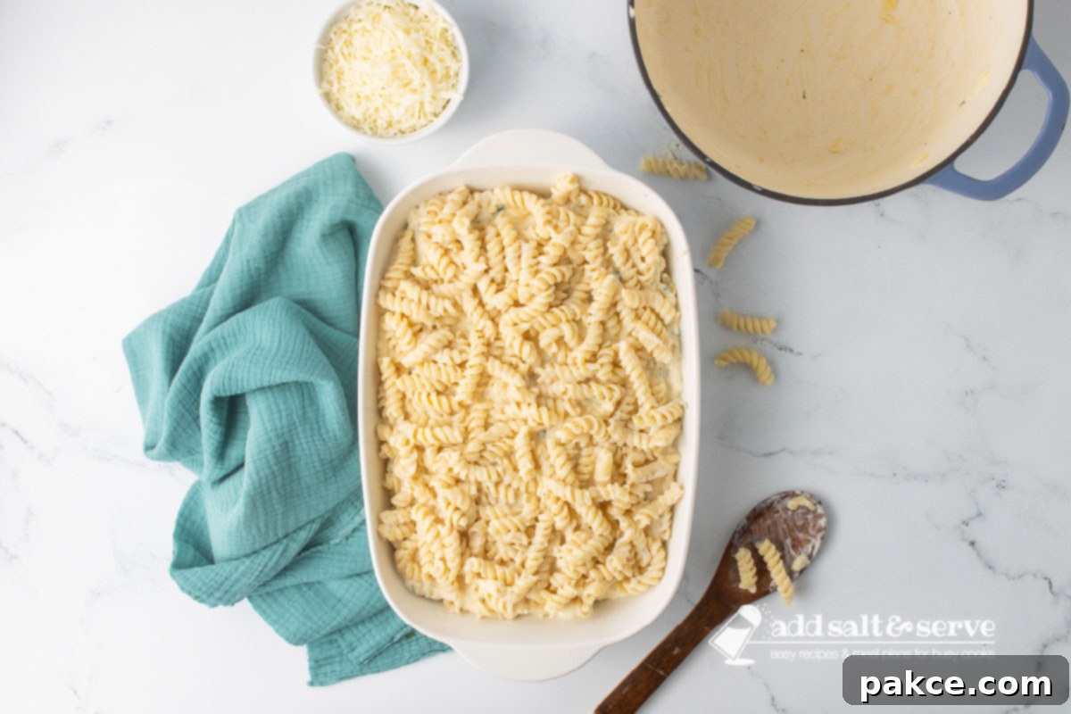 Creamy Alfredo Rotini Bake 9 The white baking dish now complete with three layers: Alfredo rotini pasta, ricotta mixture, and finally, the remaining Alfredo rotini pasta on top.