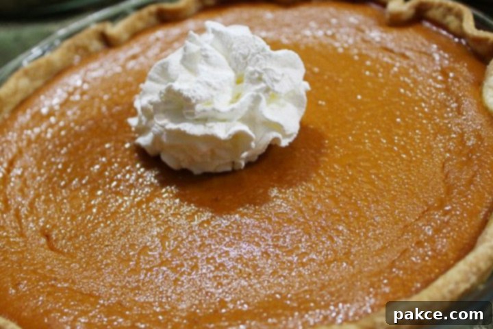 Baked pumpkin pie garnished with whipped cream