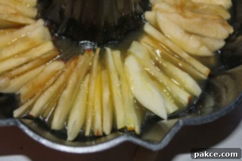 Peeled and sliced apples placed in a butter brown sugar mixture in a bundt pan, arranged carefully for an upside-down cake.