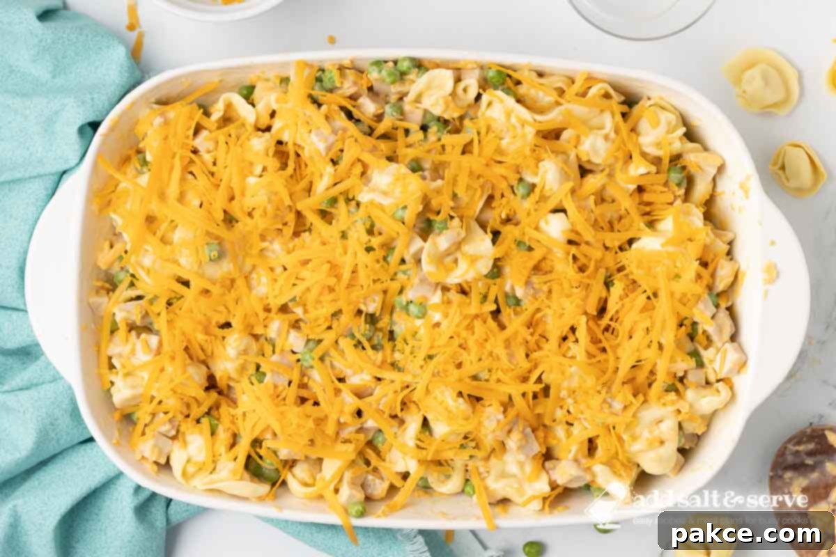 Creamy Turkey Tortellini Bake 7 Mixed tortellini, turkey, and peas in a creamy, cheesy sauce, evenly spread in a baking dish and topped with a generous layer of shredded sharp cheddar cheese, perfectly prepped for baking.