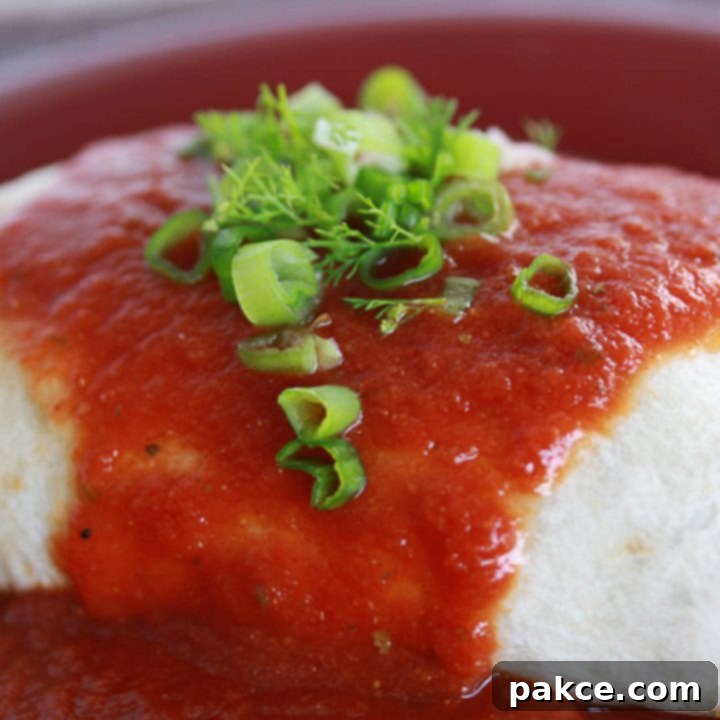 Burrito with red sauce poured over it and garnished with cilantro and chopped green onions