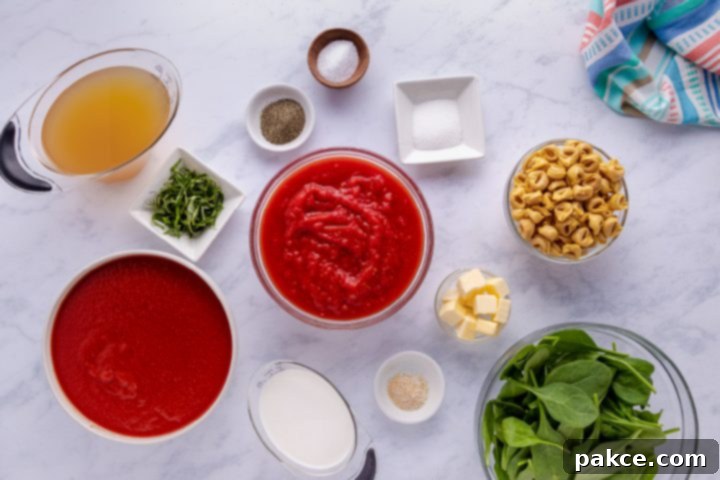 Speedy Tomato Spinach Tortellini Soup 3 Ingredients for 15 Minute Tomato Spinach Tortellini Soup including fresh basil and tortellini