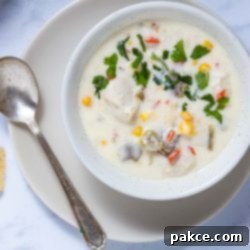 Homestyle Tex-Mex Chicken Corn Chowder 9 Bowl of Southwest Chicken Corn Chowder garnished with fresh cilantro on a saucer with a spoon, ready to enjoy.