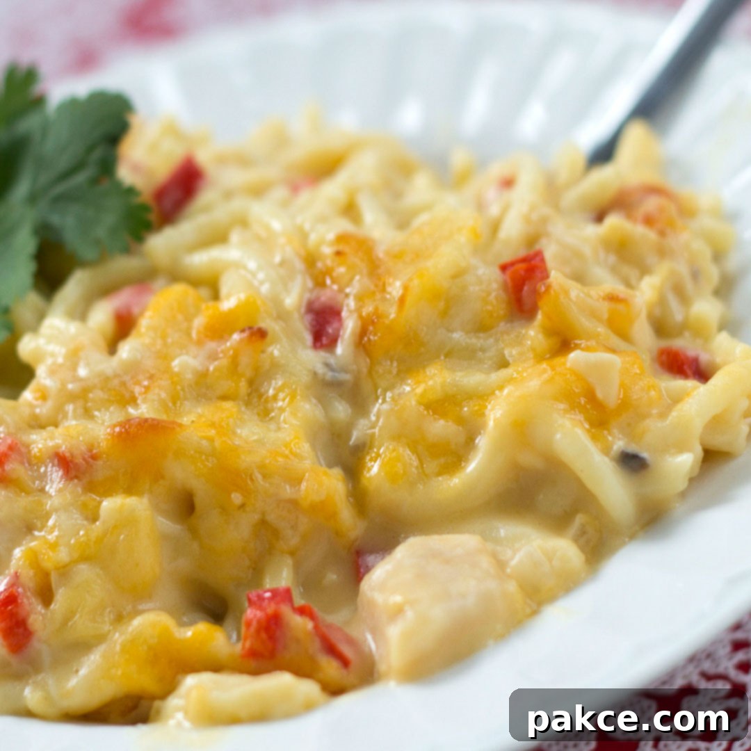 Chicken Tetrazzini on a white plate, ready to be served