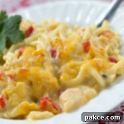 Creamy Chicken & Noodle Casserole 2 Chicken Tetrazzini on a white plate