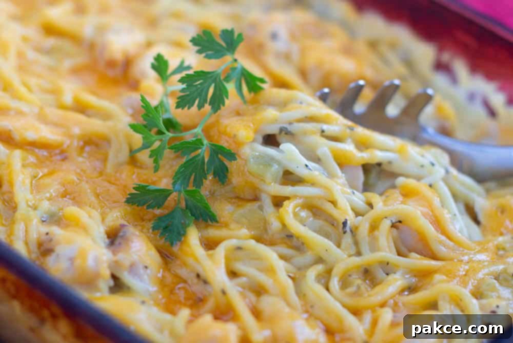 Creamy Cheddar Chicken Spaghetti 2 Cheddar chicken spaghetti in a baking dish garnished with parsley.