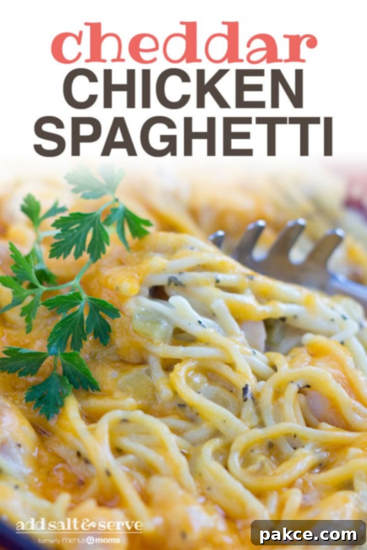 Cheddar Chicken Spaghetti Pasta server pulling out a serving of a casserole of spaghetti and chicken in a white sauce topped with cheddar cheese and garnished with parsley