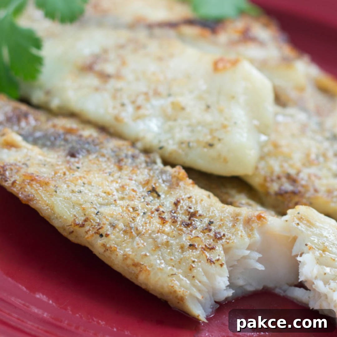 Perfectly broiled tilapia fillets on a vibrant red plate, garnished with fresh parsley, ready to be served as a quick and healthy dinner.