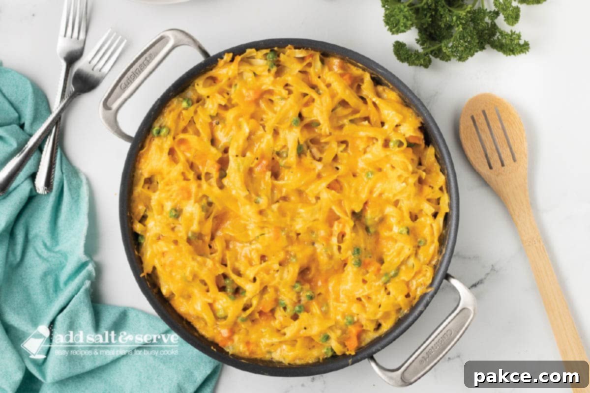 Golden Cheesy Tuna Delight 6 A freshly baked cheesy tuna noodle casserole in a black oven-safe skillet, with golden-brown melted cheese on top, ready to serve.