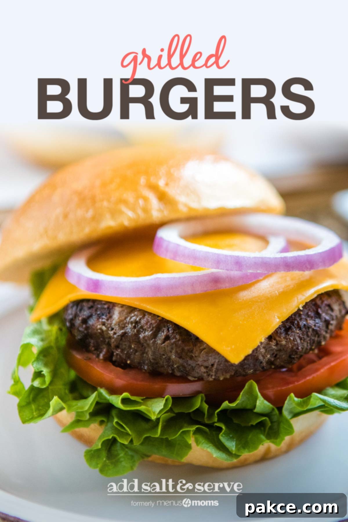 Grilled Burgers Platter