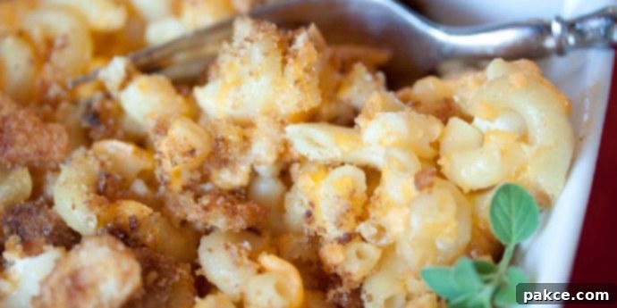 A single serving of golden-brown macaroni & cheese with a bread crumb topping, served with a fork and garnished with fresh thyme